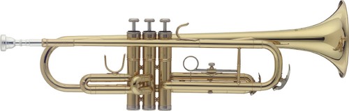 Trompette dans un - dans, softcase