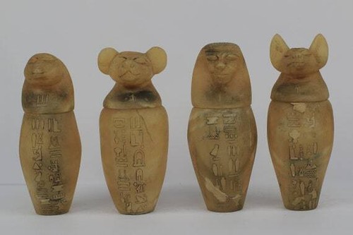 énormes pots organes - Énormes,