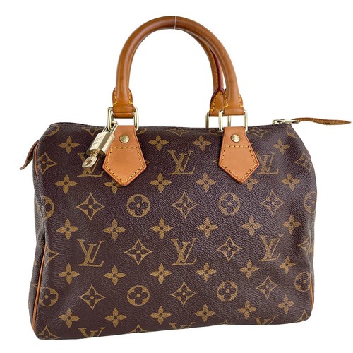 Sac main louis vuitton - main,