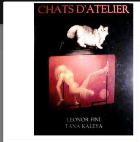 Chats atelier - chats, d'atelier