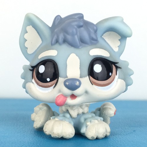 Authentic littlest pet - littlest, shop