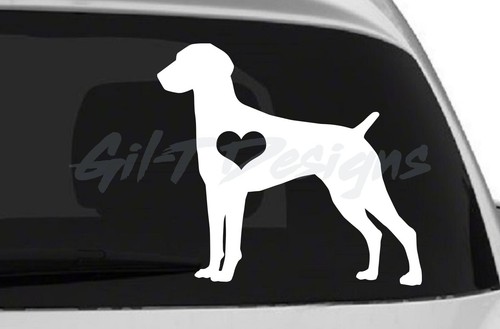 German shorthaired pointer 3 - pointer, #3