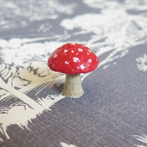 Mystical champignon vénéneux - champignon,