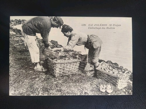 Carte postale île oléron - postale,