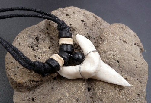 Collier dent requin tigre - collier,