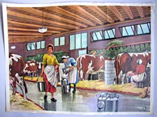 La Traite des Vaches Ferme Jardinage - Carte d'école Rossignol Montmorillon 1950