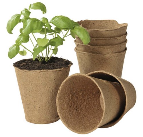 Lot pots de germination - lot, 40