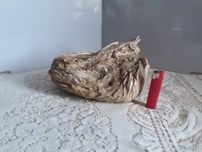 Taxidermie huitre géante