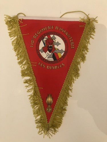 Fanion 110e regiment - 110e,