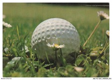 ARZP12-0804-GOLF - CLUB MEDITERRANEE - VITTEL - BALLE DE GOLF