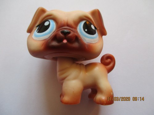 Petshop chien carlin 1312 - chien, n°1312