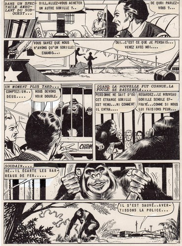 John doe gorille planche - doe,