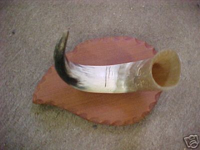 Native american art folk - native,