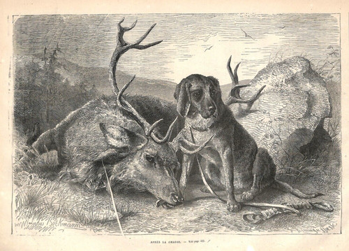 Apres chasse chien et - apres,