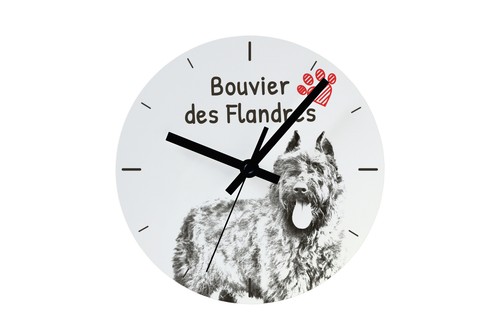 Bouvier des flandres - bouvier, horloge