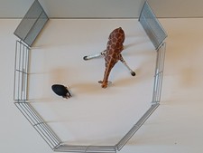 CIRQUE, Accessoires et animaux