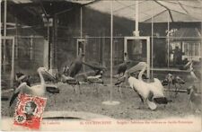 CPA AK Saigon Interieur des