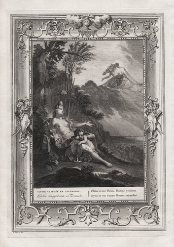 Klytia tournesol mythologie - tournesol,