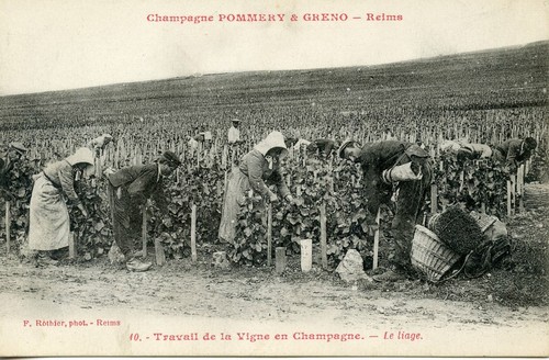 Cpa champagne pommery - champagne,