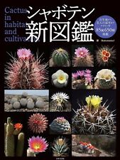 Cactus dans l'habitat et la