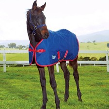 WeatherBeeta 1200D Foal