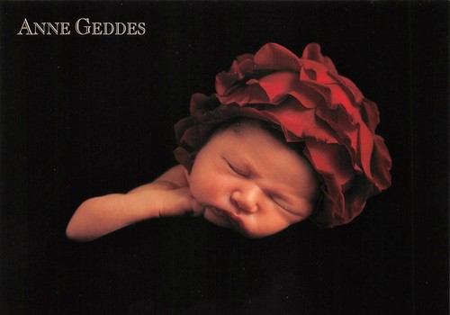 Carte postale anne geddes - carte,