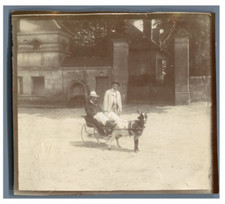 Suisse, Attelage tiré par une