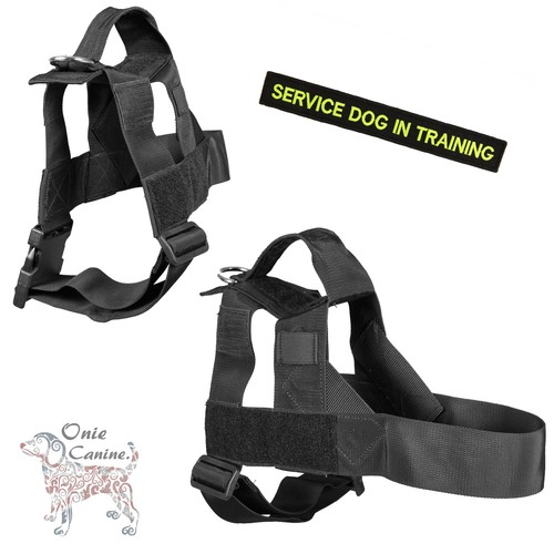Onie canine search - search,