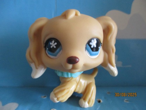Petshop chien epagneul 748 - petshop,