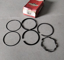 299742 Segments origine moteur BRIGGS et STRATTON