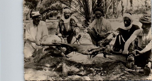 Maroc scenes types - scenes,
