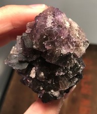 Fluorite D311 Mexico Crystal