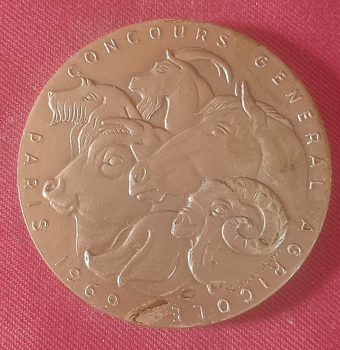 Médaille salon - médaille,