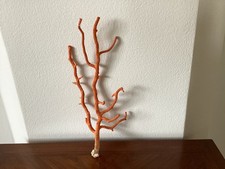 Grande  Branche de Corail