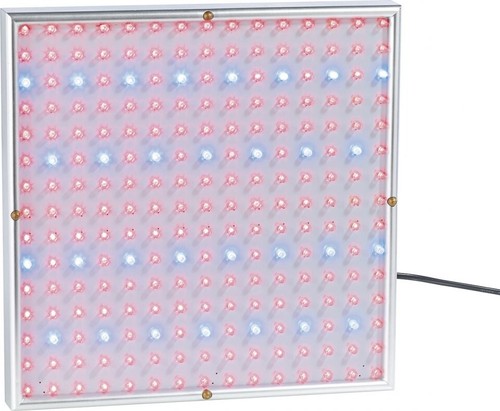 Lampe led culture - culture,
