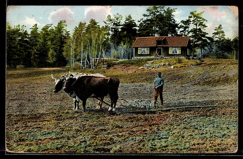 Carte postale paysan - , avec