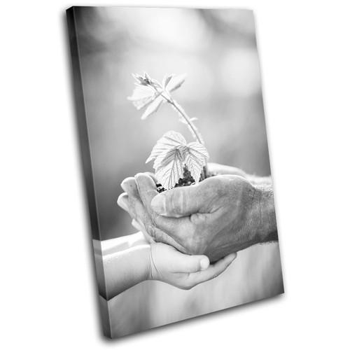 Grandfather eco floral love - eco,
