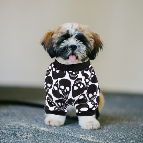 Pull chien pyjama costume - pyjama,