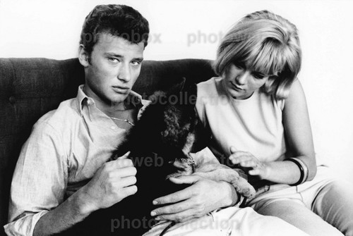 Sylvie vartan exclusive - *,