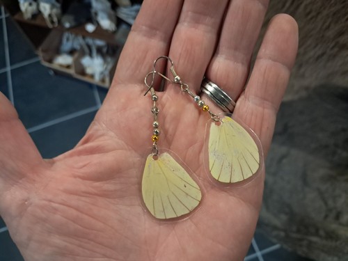 Paire boucles oreilles de - boucles,