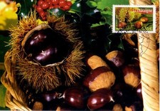 FLORE DE NOS REGIONS - CARTE MAX.