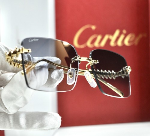 Monture lunettes sans - lunettes,