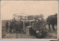 Photo, chevaux montagnes