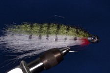 Fishskull Poisson blanc tigre vert - Streamer pour brochet et prédateurs