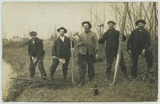 Hommes coupant du bois. Bois dur pour manches à outils ? Fagot.