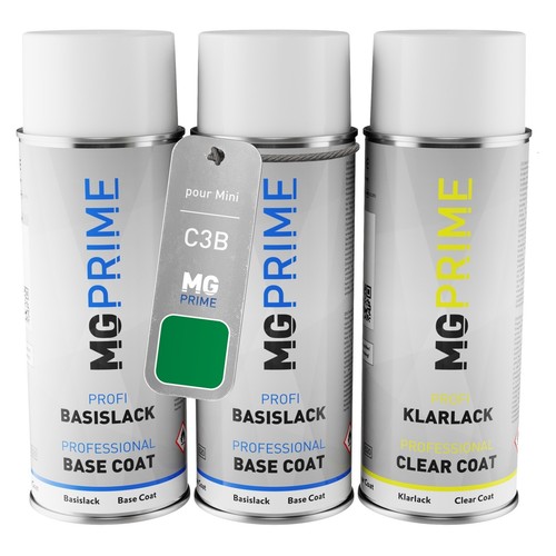 Peinture voiture kit bombe