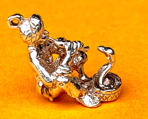 Snake charmer 2 1 - snake, 2,1