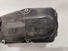 VASV29007935 corps de papillon