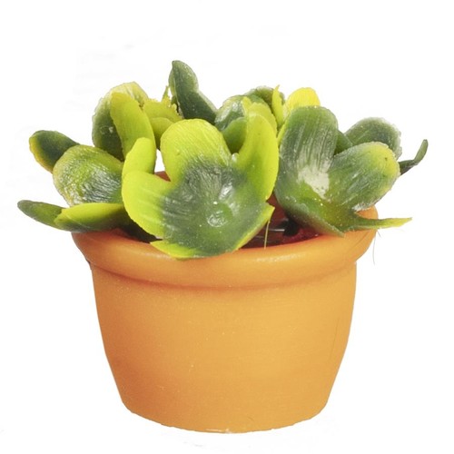 Poupées maison vert - vert, plante