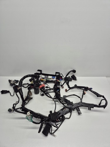 Honda cbr 1000 sc77 - honda,